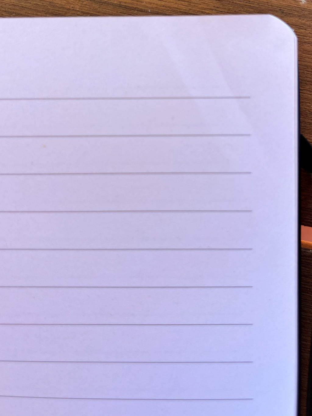"Inappropriate Thoughts" A5 Lined Notebook
